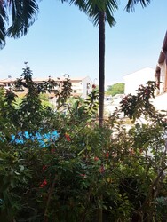 Casa Rosa (D19), Condominium #535933621
